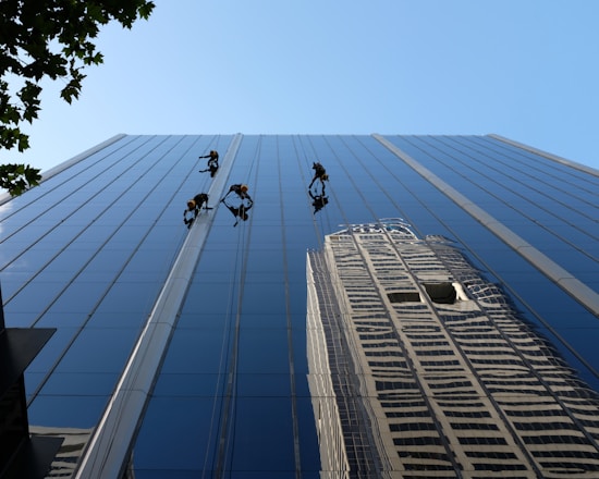 Several workers in harnesses are suspended on ropes while cleaning the glass facade of a skyscraper. The building reflects another skyscraper and the clear blue sky. A tree with green leaves is partially visible in the upper left corner.
