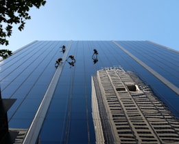 Several workers in harnesses are suspended on ropes while cleaning the glass facade of a skyscraper. The building reflects another skyscraper and the clear blue sky. A tree with green leaves is partially visible in the upper left corner.