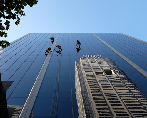 Several workers in harnesses are suspended on ropes while cleaning the glass facade of a skyscraper. The building reflects another skyscraper and the clear blue sky. A tree with green leaves is partially visible in the upper left corner.