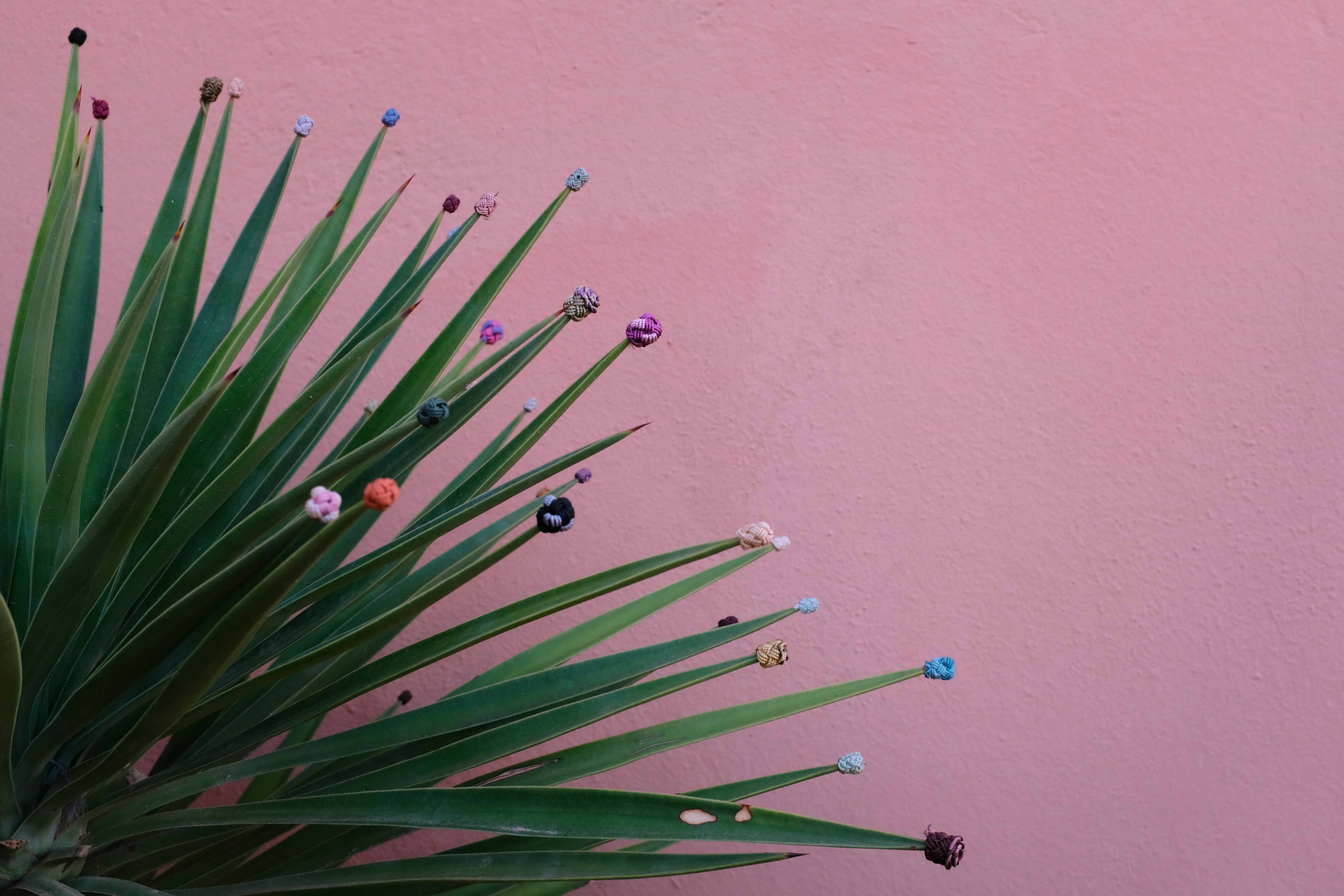 100+] Fondos de fotos de Fondos de pantalla Tumblr estilosos |  Wallpapers.com, image size:3000x2000