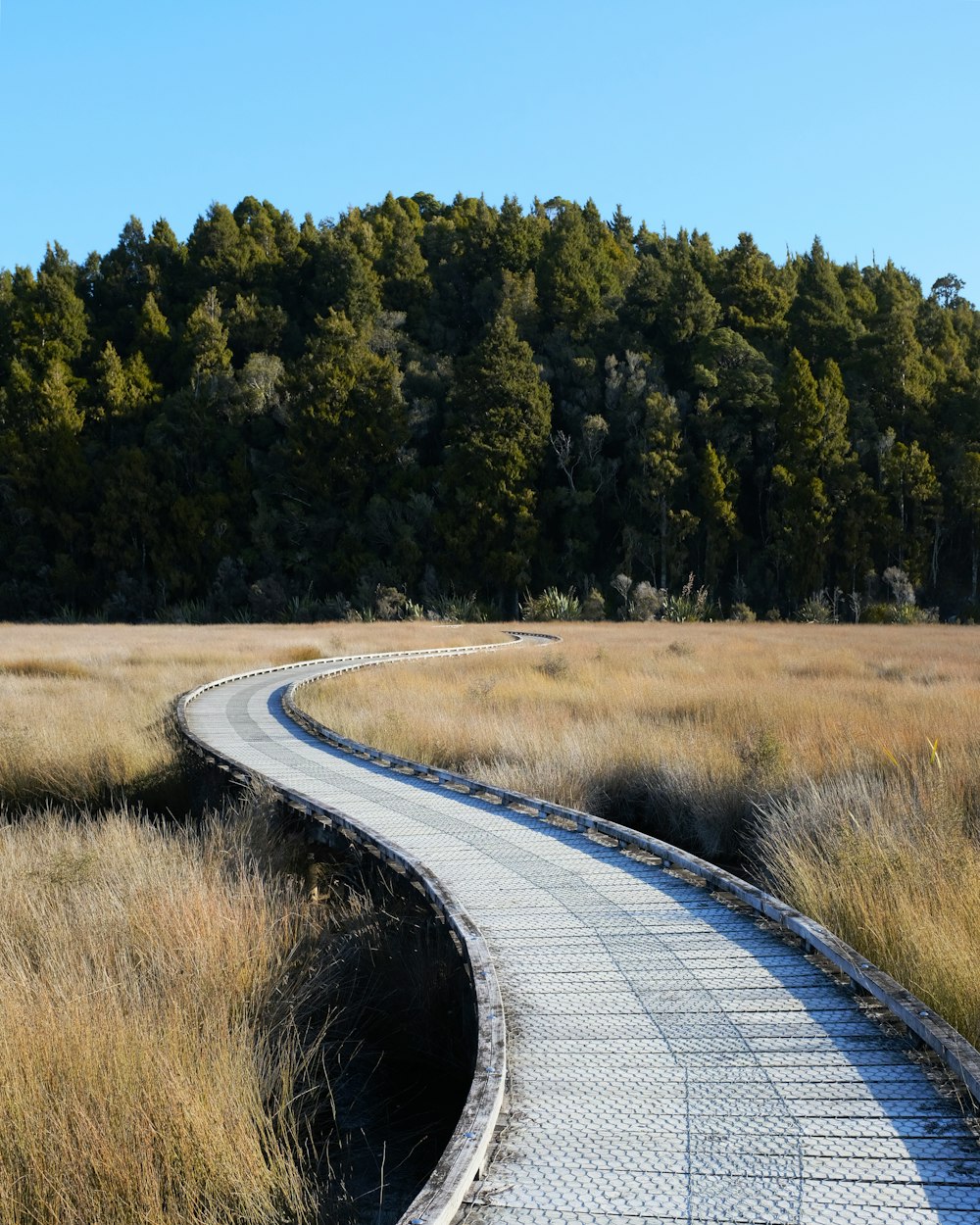 a curved road in the middle of a field