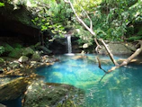 Natural pool surrounded by tropical plants and sunlight filtering through leaves.