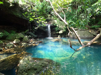 Close-up of crystal-clear water splashing into a tranquil pool beneath a rocky ledge.