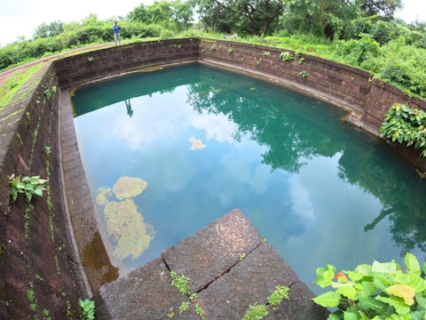 A rectangular, brick-lined pond is surrounded by lush greenery with a clear reflection of the sky and trees in its blue-green water. There are small patches of algae or debris floating on the surface. The pond is bordered by a stone wall, where plants are growing. A person stands at the edge, observing the pond.