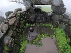 An old stone structure surrounded by mossy stones and green vegetation. At the center of the structure is a stone element that resembles a shivalinga, commonly found in Hindu temples. There is also a carved stone slab with intricate designs against the stone wall at the back. Water has accumulated on the ground, reflecting the surroundings slightly. The scene appears to be outdoors in a wet or humid environment.