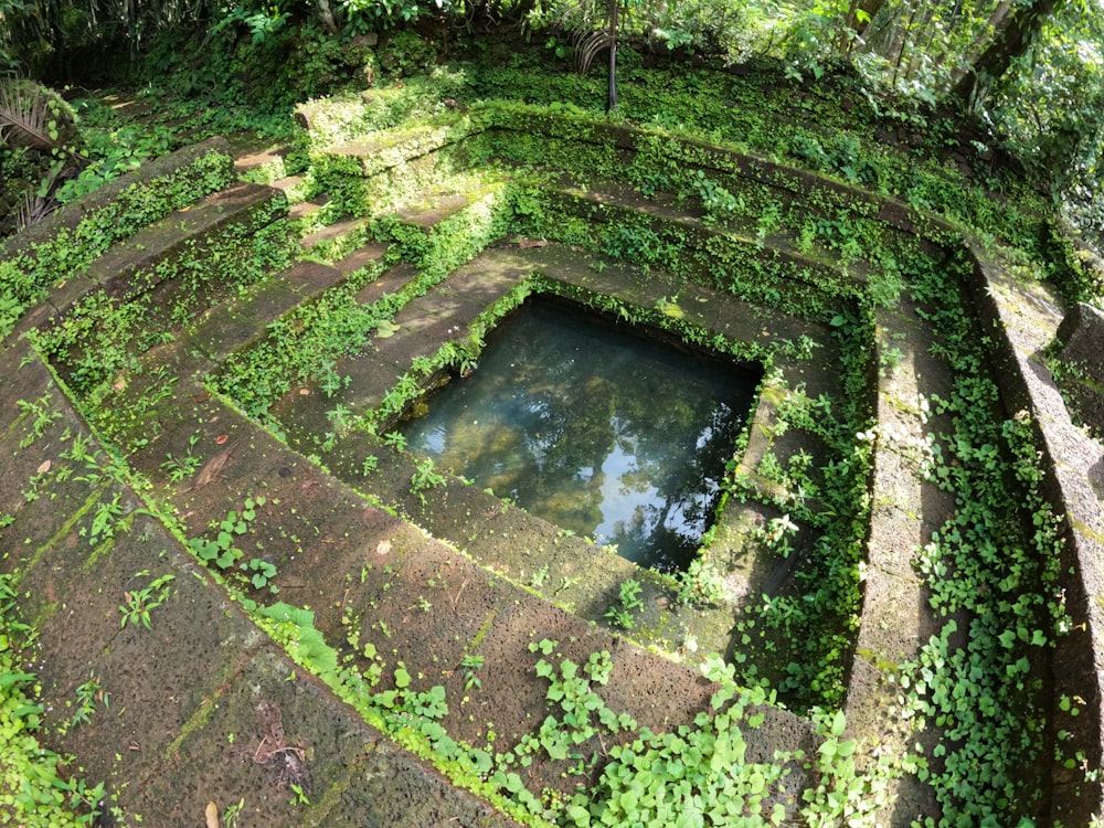 a stone structure with a pool surrounded by greenery