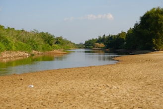 A serene riverbank where Blue Otter Environmental Consulting is monitoring water quality with specialized equipment.