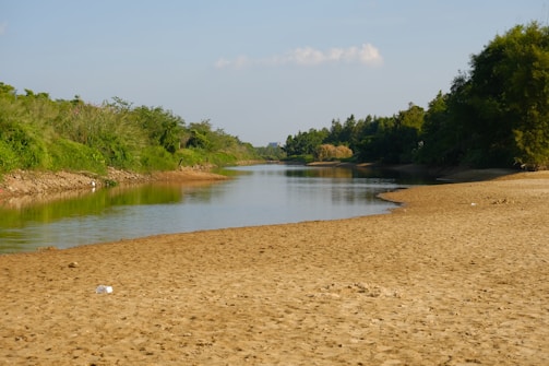 A serene riverbank where Blue Otter Environmental Consulting is monitoring water quality with specialized equipment.