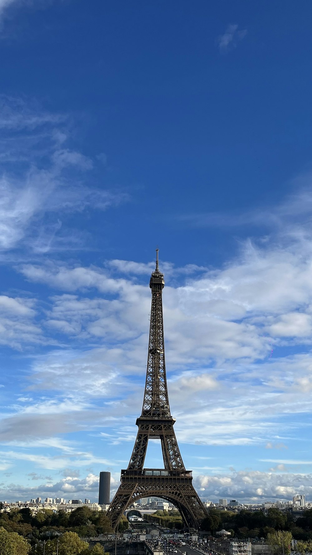 the eiffel tower towering over the city of paris