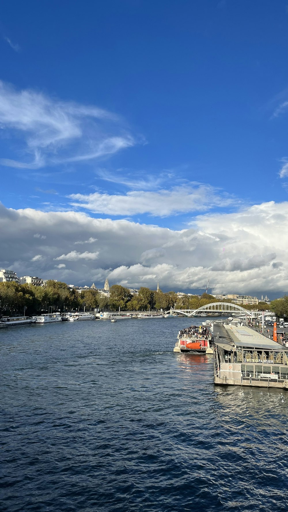 a large body of water with a bridge in the background