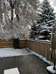 A backyard scene with a light layer of snow covering the grass and patio. A large tree and several evergreen trees are dusted with snow. A wooden fence encloses the area, and a patio umbrella stands closed in the corner.