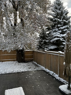 A backyard scene with a light layer of snow covering the grass and patio. A large tree and several evergreen trees are dusted with snow. A wooden fence encloses the area, and a patio umbrella stands closed in the corner.