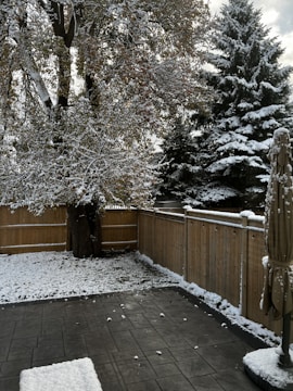 A backyard scene with a light layer of snow covering the grass and patio. A large tree and several evergreen trees are dusted with snow. A wooden fence encloses the area, and a patio umbrella stands closed in the corner.