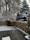 A backyard scene with a light layer of snow covering the grass and patio. A large tree and several evergreen trees are dusted with snow. A wooden fence encloses the area, and a patio umbrella stands closed in the corner.