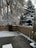 A backyard scene with a light layer of snow covering the grass and patio. A large tree and several evergreen trees are dusted with snow. A wooden fence encloses the area, and a patio umbrella stands closed in the corner.