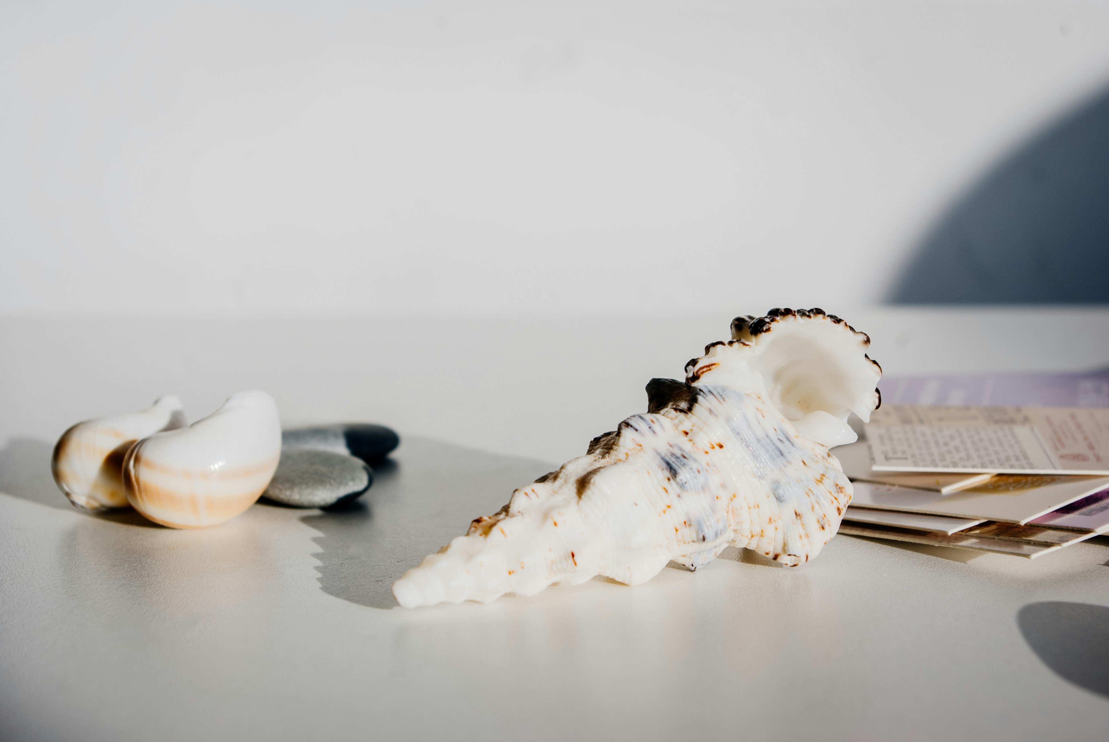 Photo by moonmoons_days