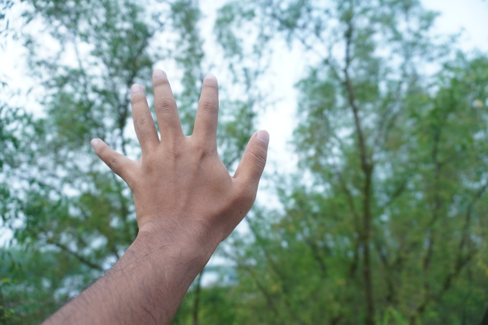 a person's hand reaching up into the sky