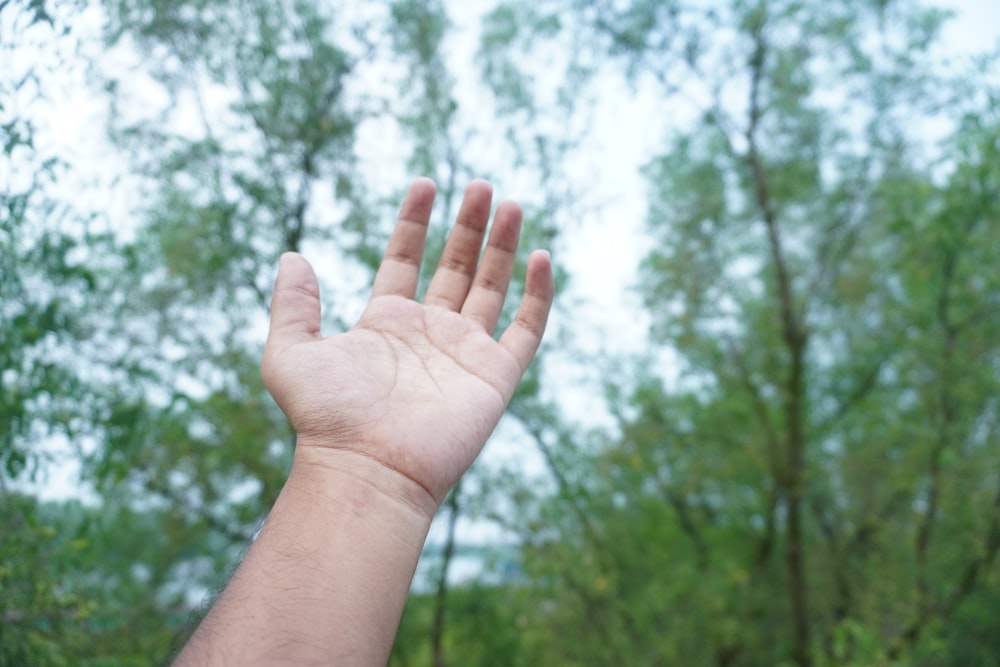 a hand reaching up into the air with trees in the background