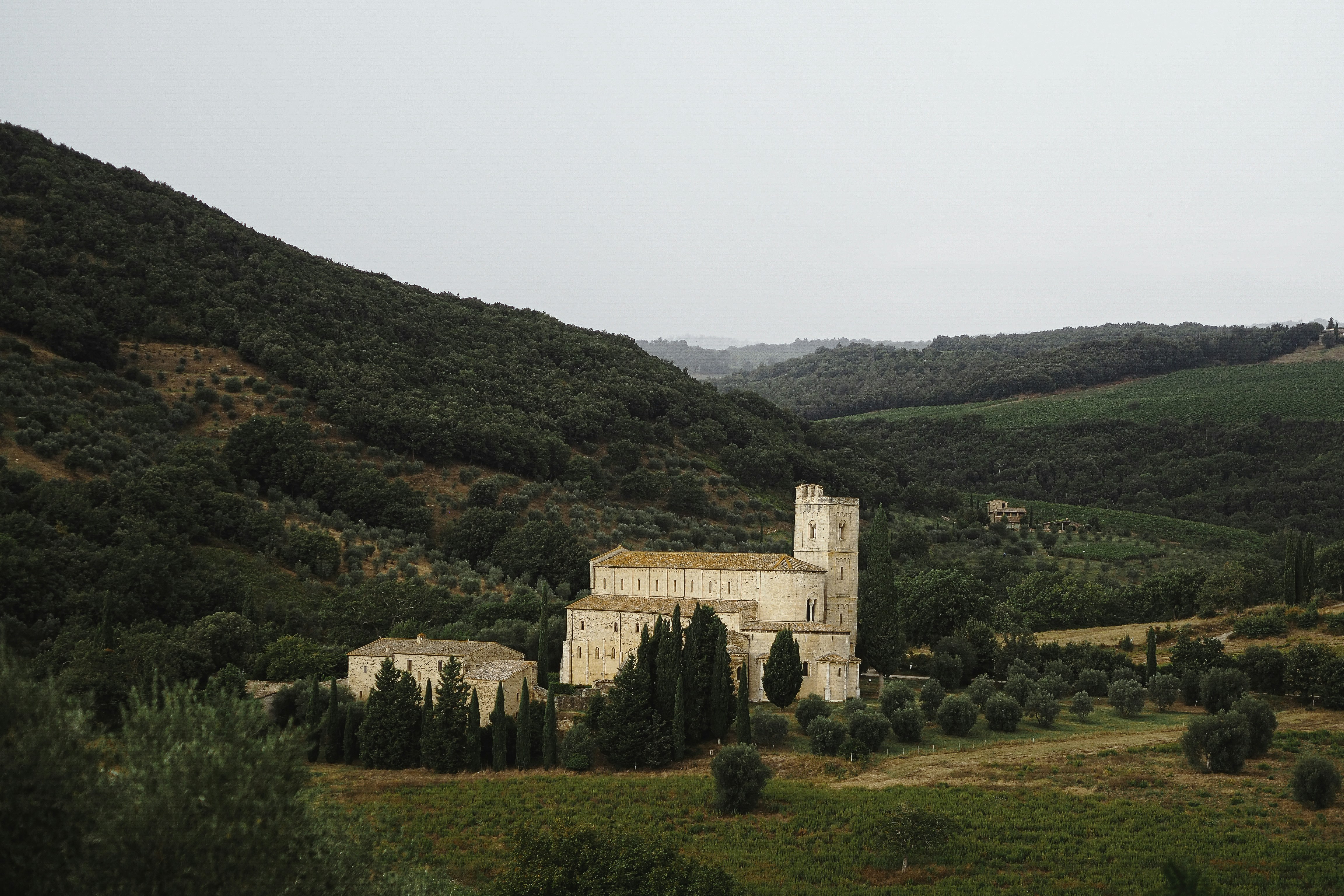 Photo by laurachouette