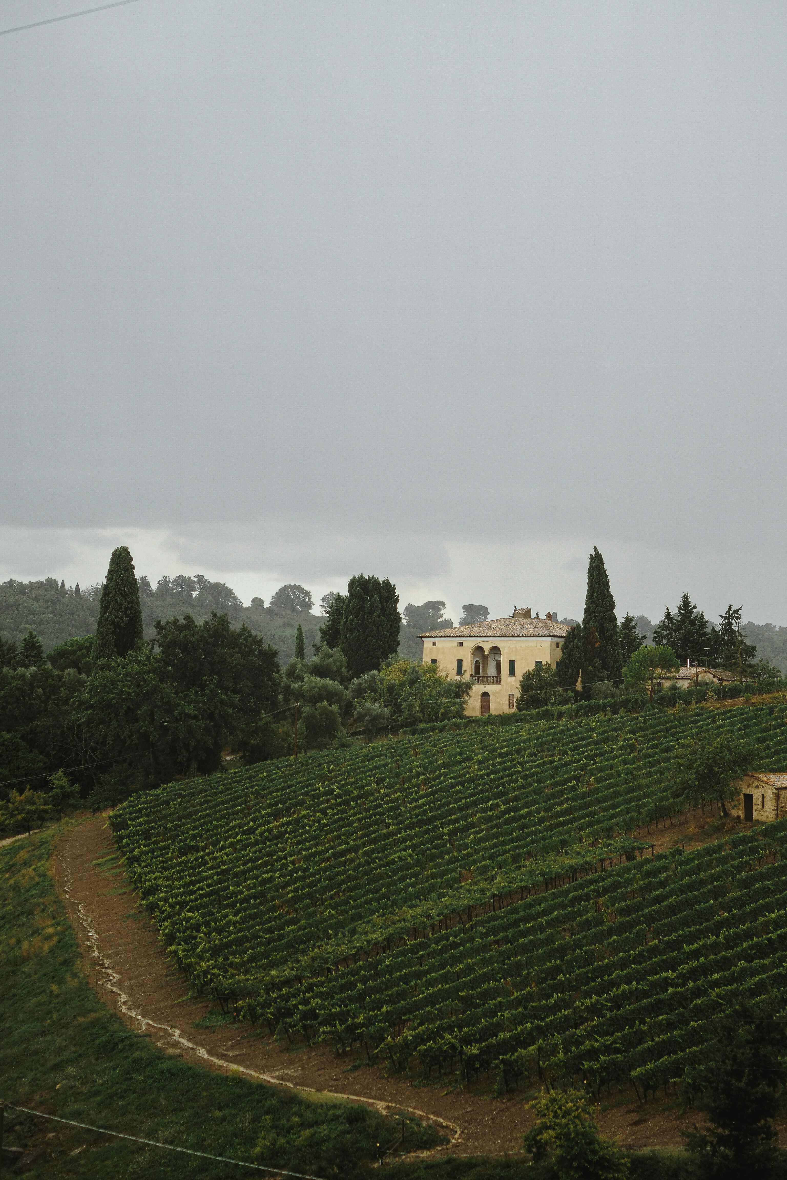 A long cypress-lined avenue leading up to a classic Tuscan estate