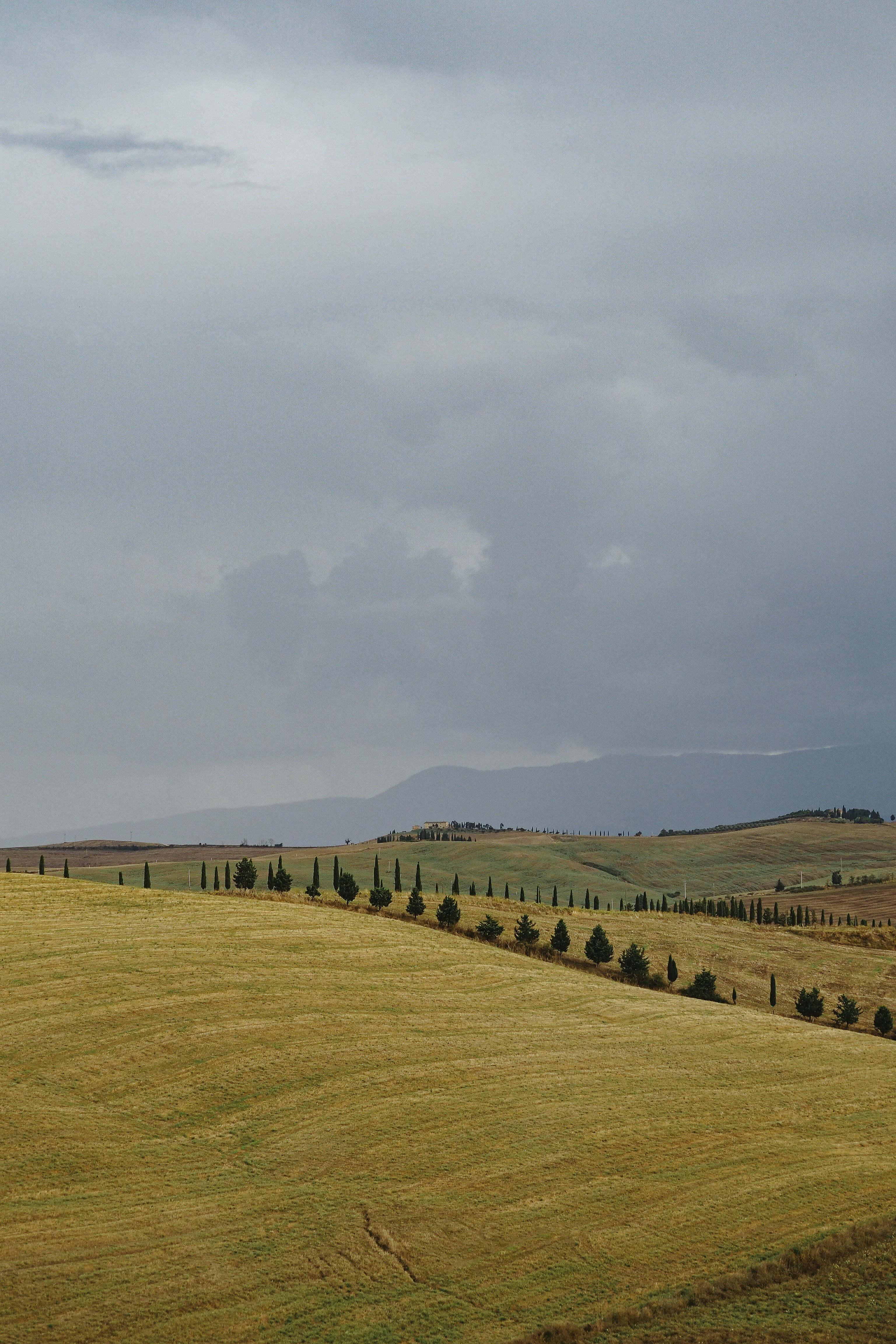 Photo by laurachouette