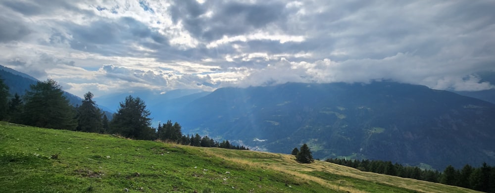 a grassy hill with trees and mountains in the background