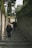 A group of people walking up a narrow stone pathway bordered by tall stone walls. The path is shaded by trees, and the atmosphere feels secluded and quiet. The pathway is lined with some greenery and an old-fashioned street lamp is visible. The scene suggests an uphill journey.