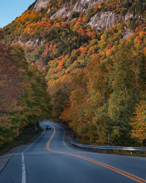 A winding road through the vibrant autumn foliage of Naran Kaghan.