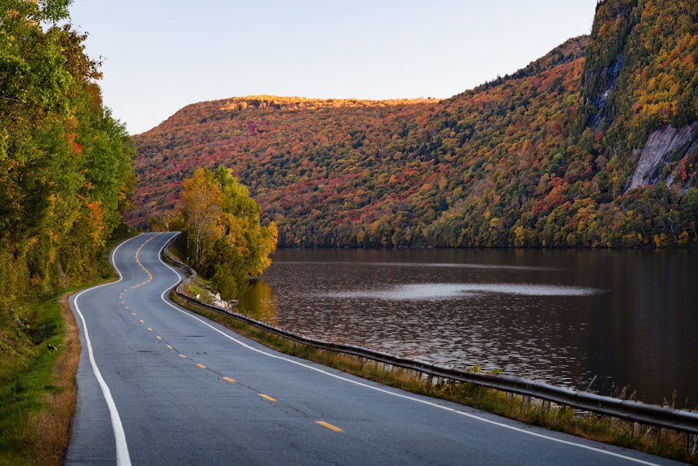 a winding road near a body of water surrounded by trees