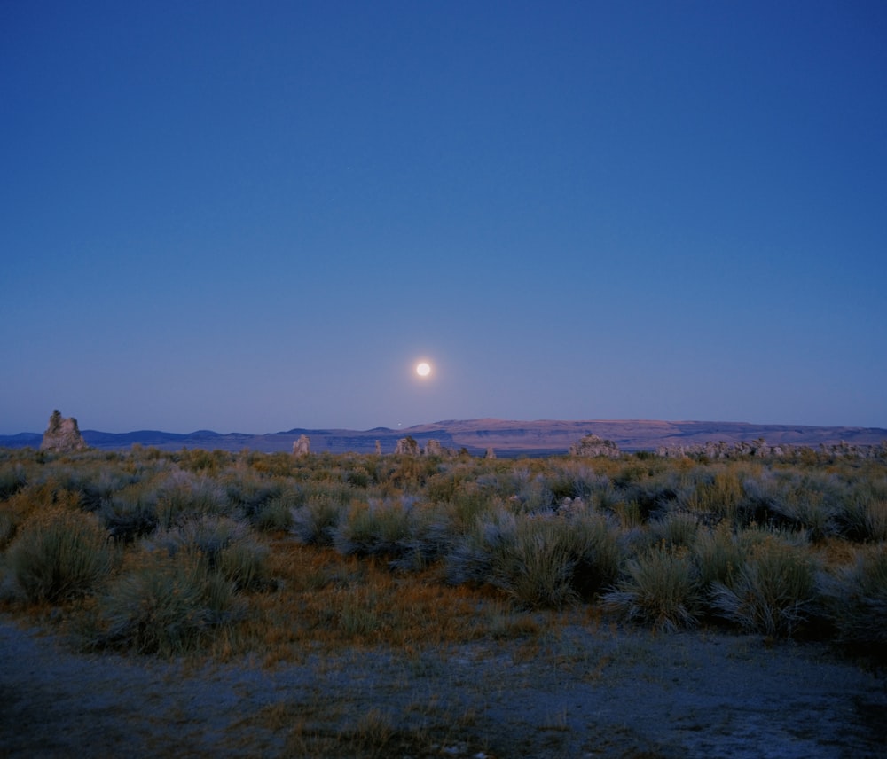 a full moon in the sky over a field