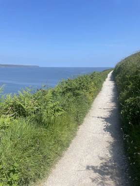 A serene coastal trail winding along cliffs under a bright blue sky.