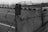 A monochrome image featuring a close-up view of a wooden barrier wrapped with barbed wire. In the background, there is a road with multiple lanes and a metal railing, possibly near a coastal area as there’s an indication of water in the distance.