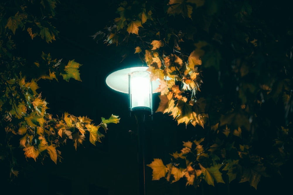 a street light surrounded by leaves at night