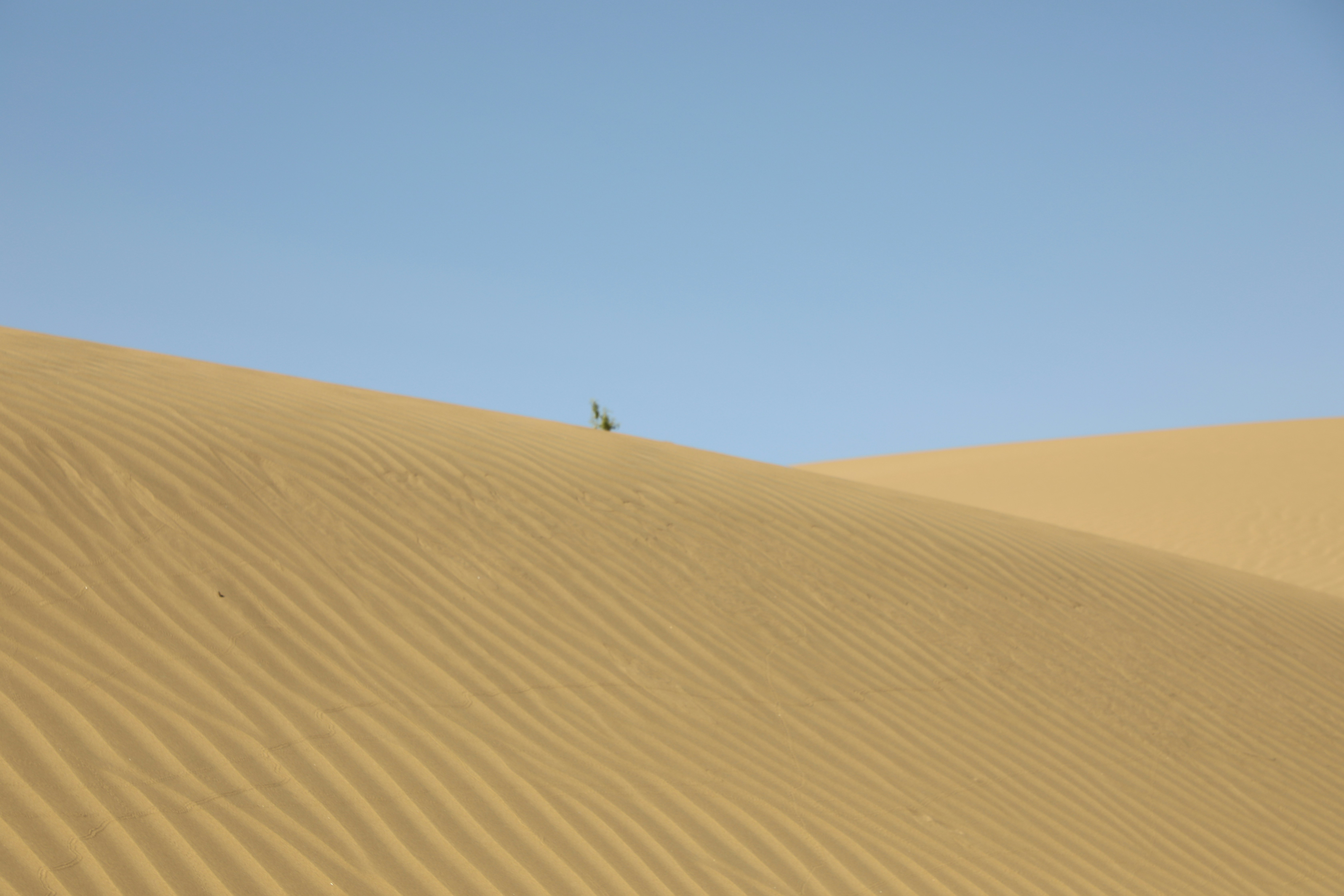 Photo by fujiwara2024