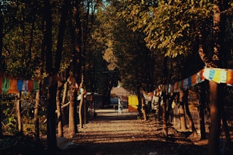 Pilgrims walking along a trail dotted with prayer flags on the way to Kedarnath Temple at sunset.