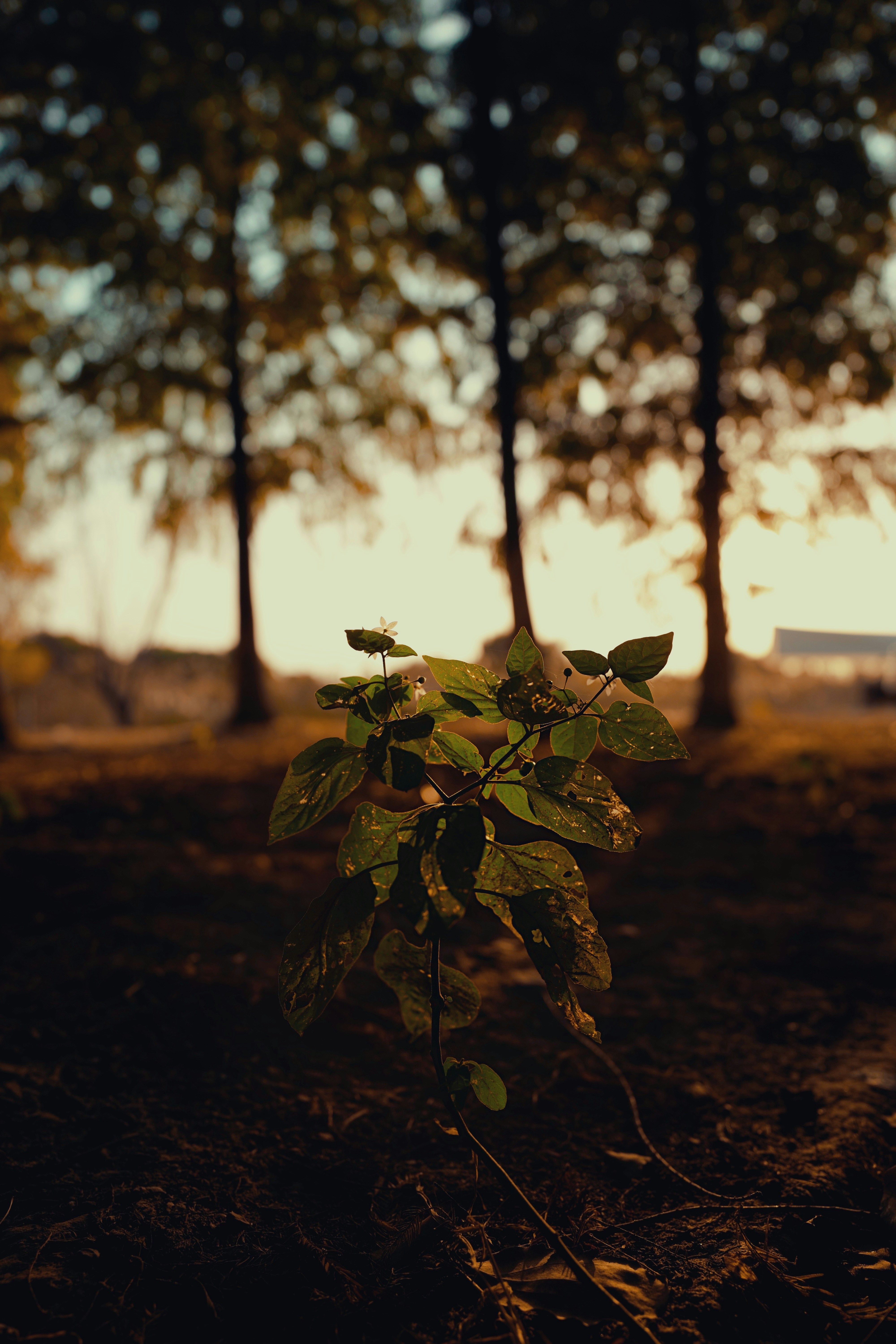 Photo by samyurt