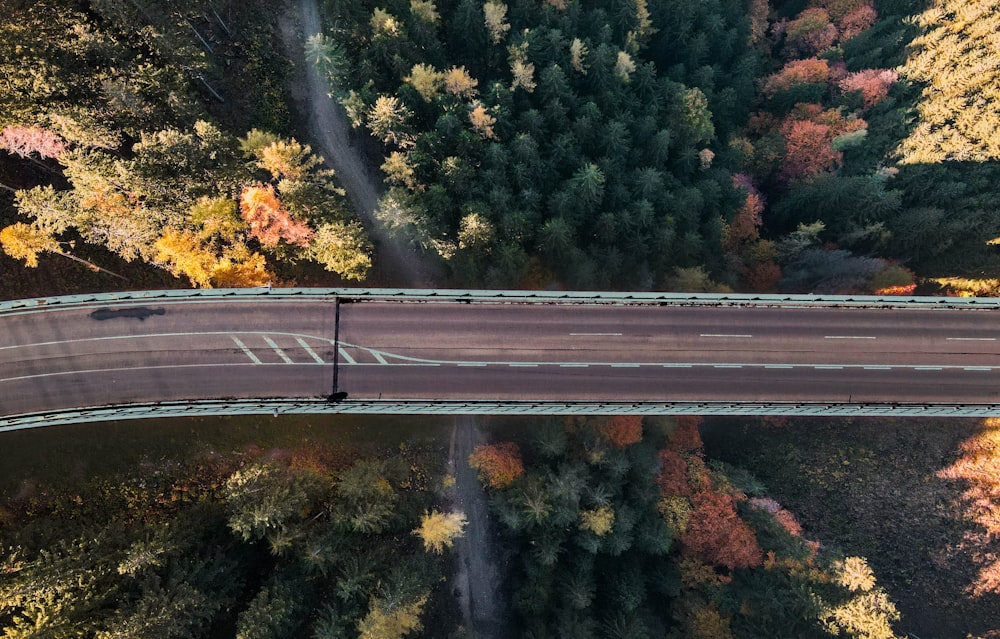 an aerial view of a road surrounded by trees