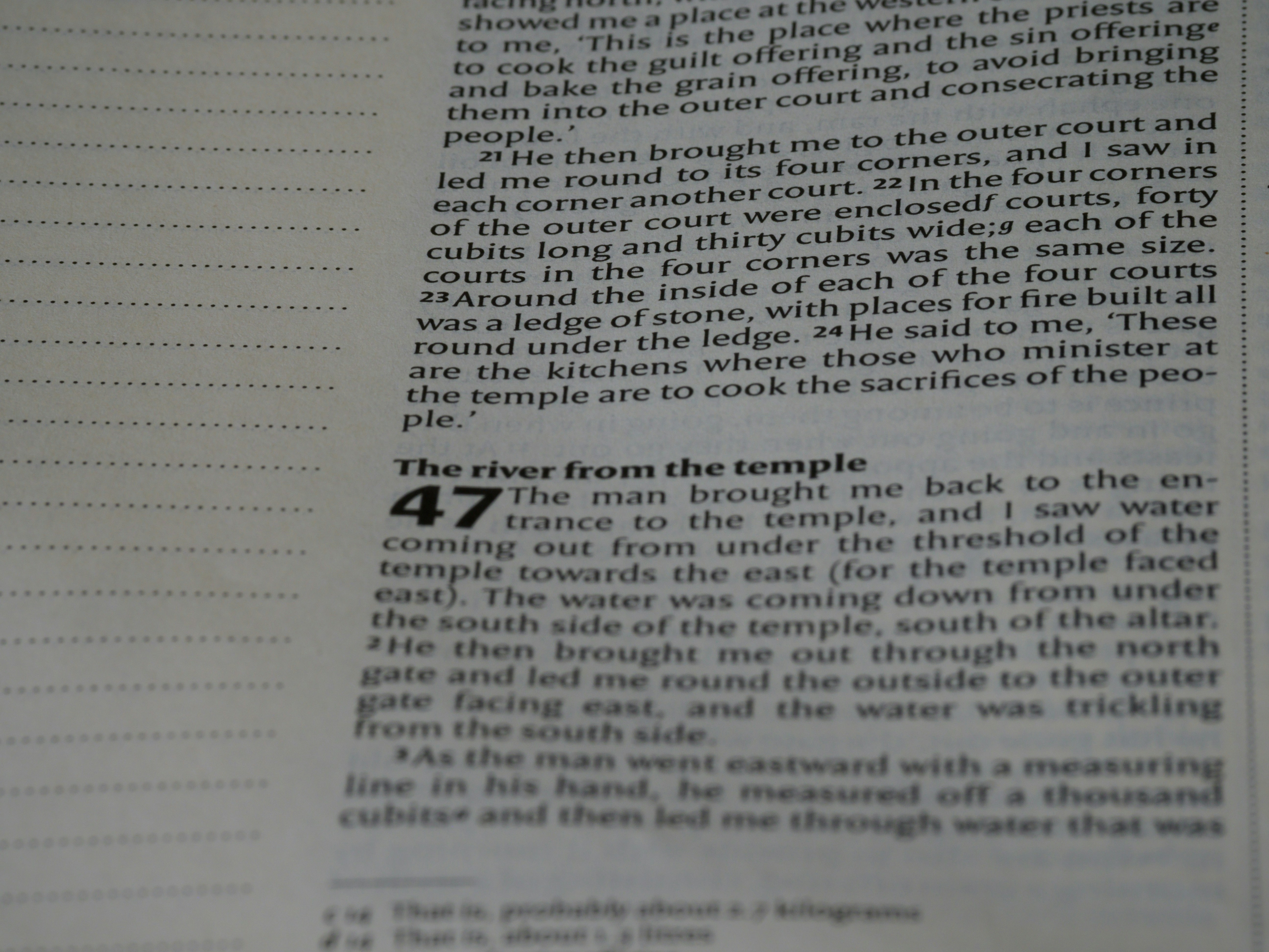 close up, bokeh, macro, blur, blurred background, close focus, bible, old testament, hebrew bible, christian, judaism, history, text, reading, bible study, devotions, text, NIV, New International Version, type, typography, canon, christianity, holy scripture, holy bible, scripture, old testament, hebrew bible, prophecy, exile, judgement, judgment, redemption, ezekiel, ezechiel, יְחֶזְקֵאל ,Yəḥezqēʾl, septuagint, book of ezekiel, prophet, prophecy, son of buzi, destruction of jerusalem, restoration of israel, restoration, babylonian captivity, babylon,