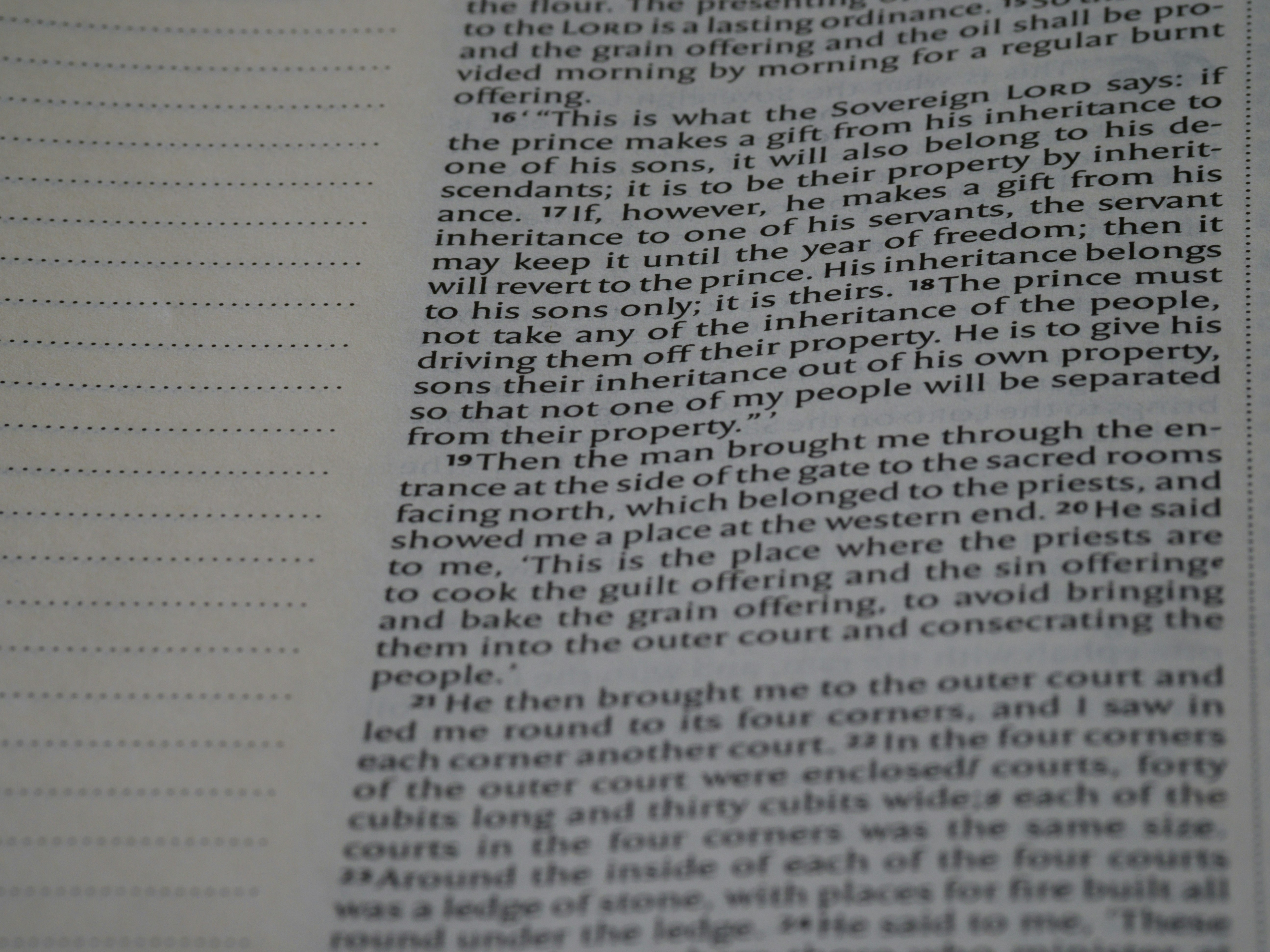 Photo by brett_jordan