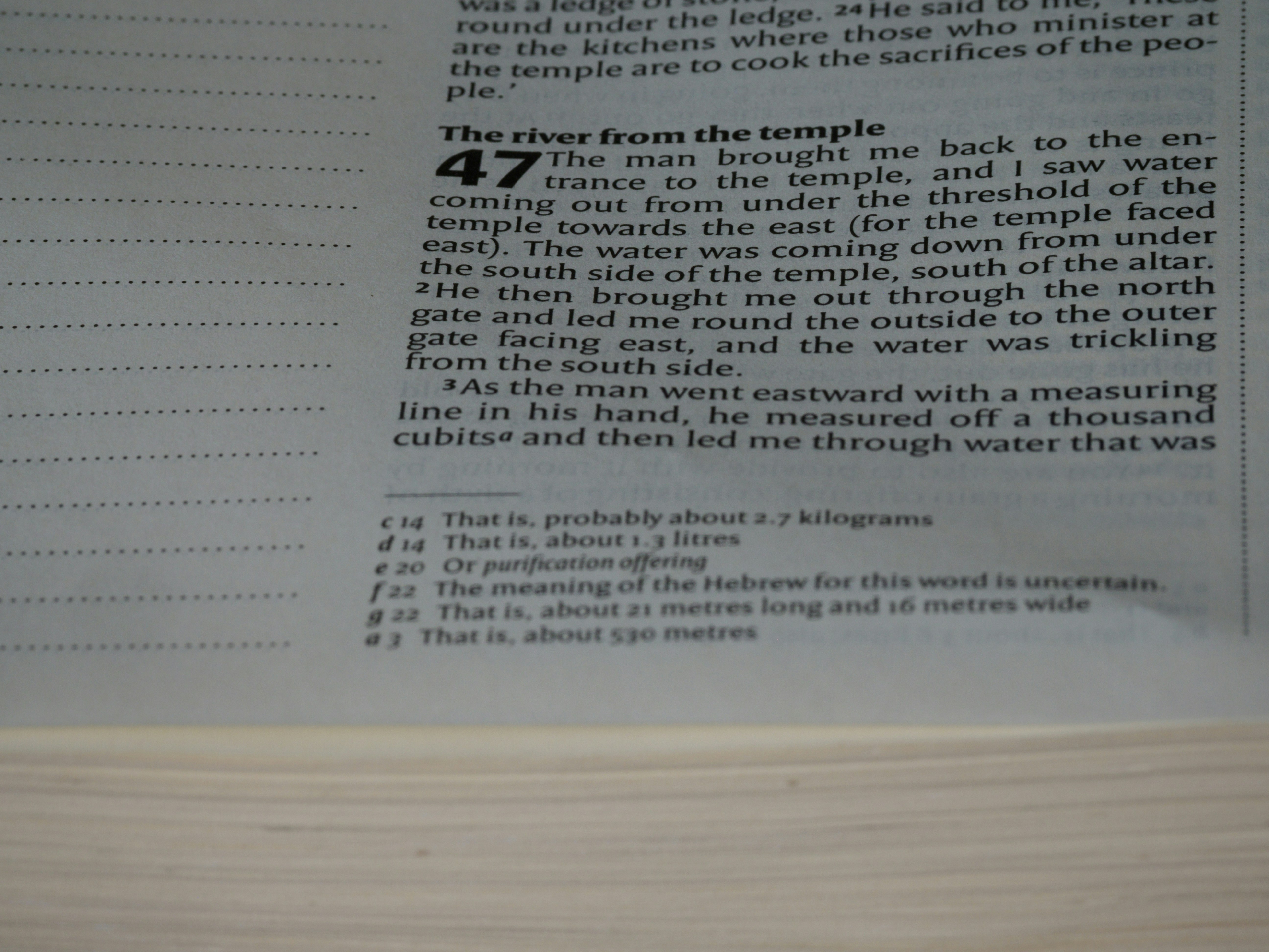 Photo by brett_jordan