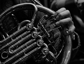 a close up of a person holding a french horn