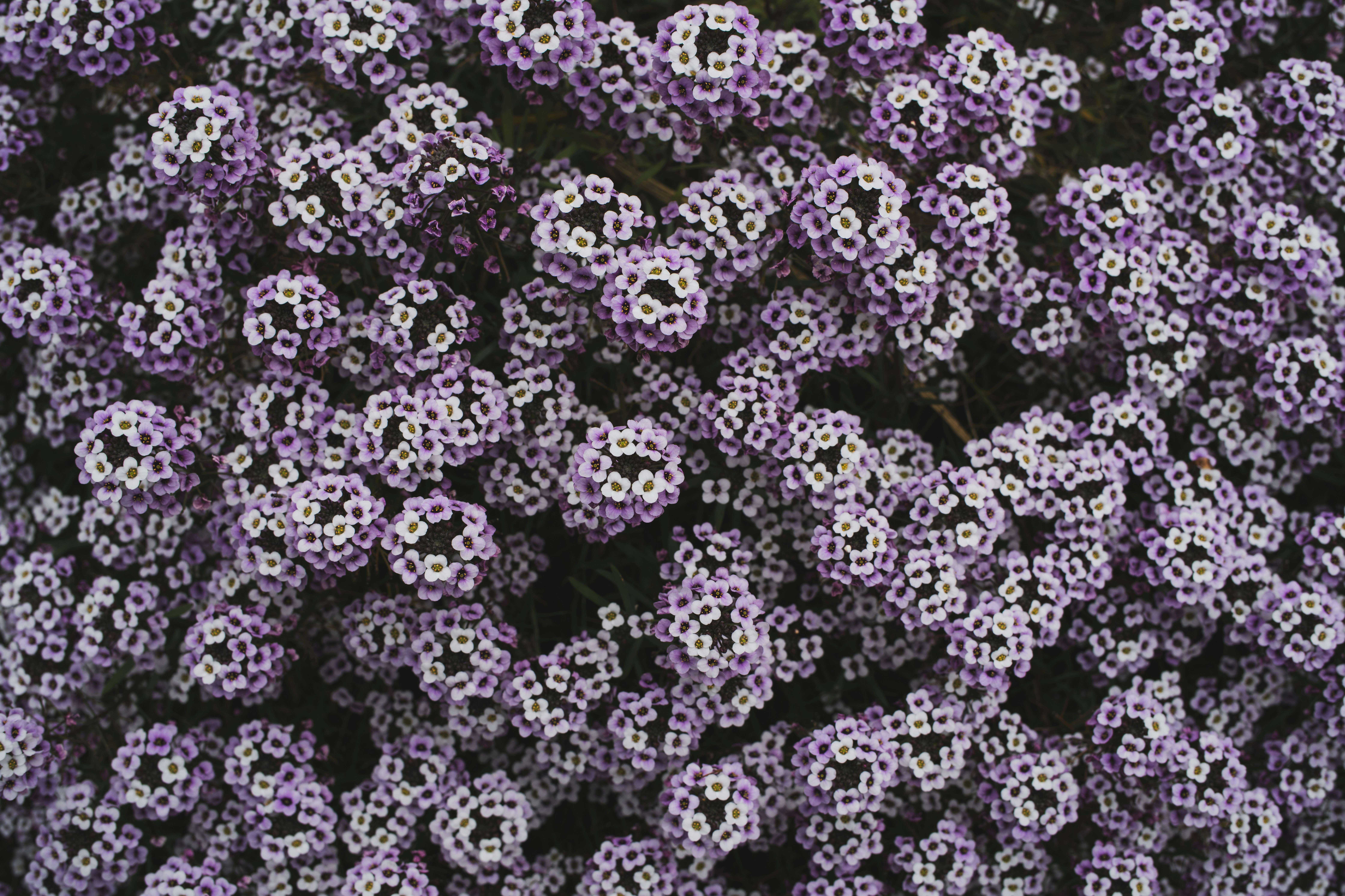 Microfactories + Home Batteries: Advanced Energy & Workflow Strategies for 2026