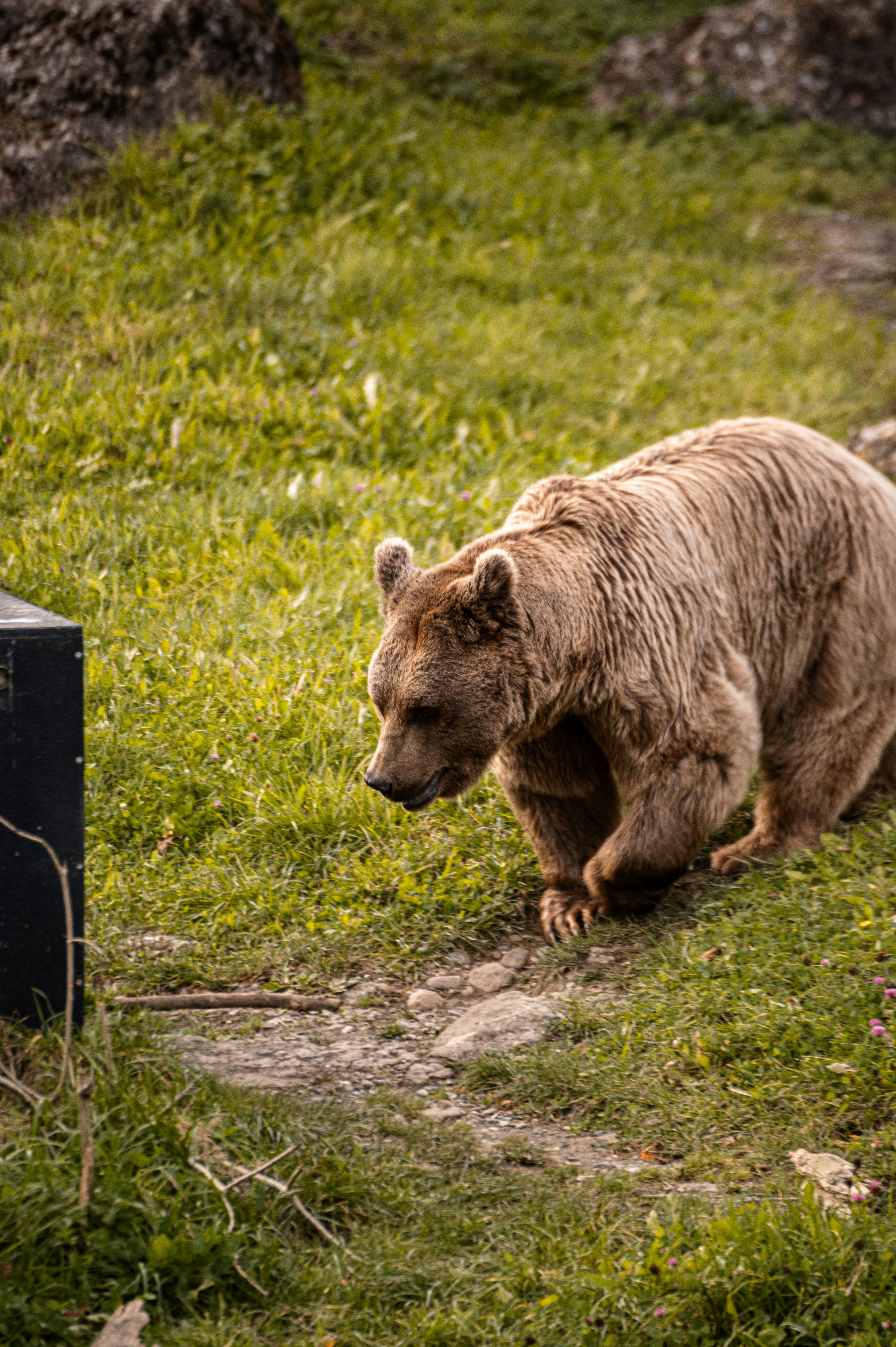 10. Garbage and Waste (image credits: unsplash)