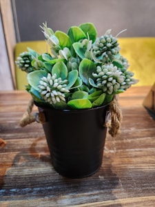 Handwoven Succulent Basket