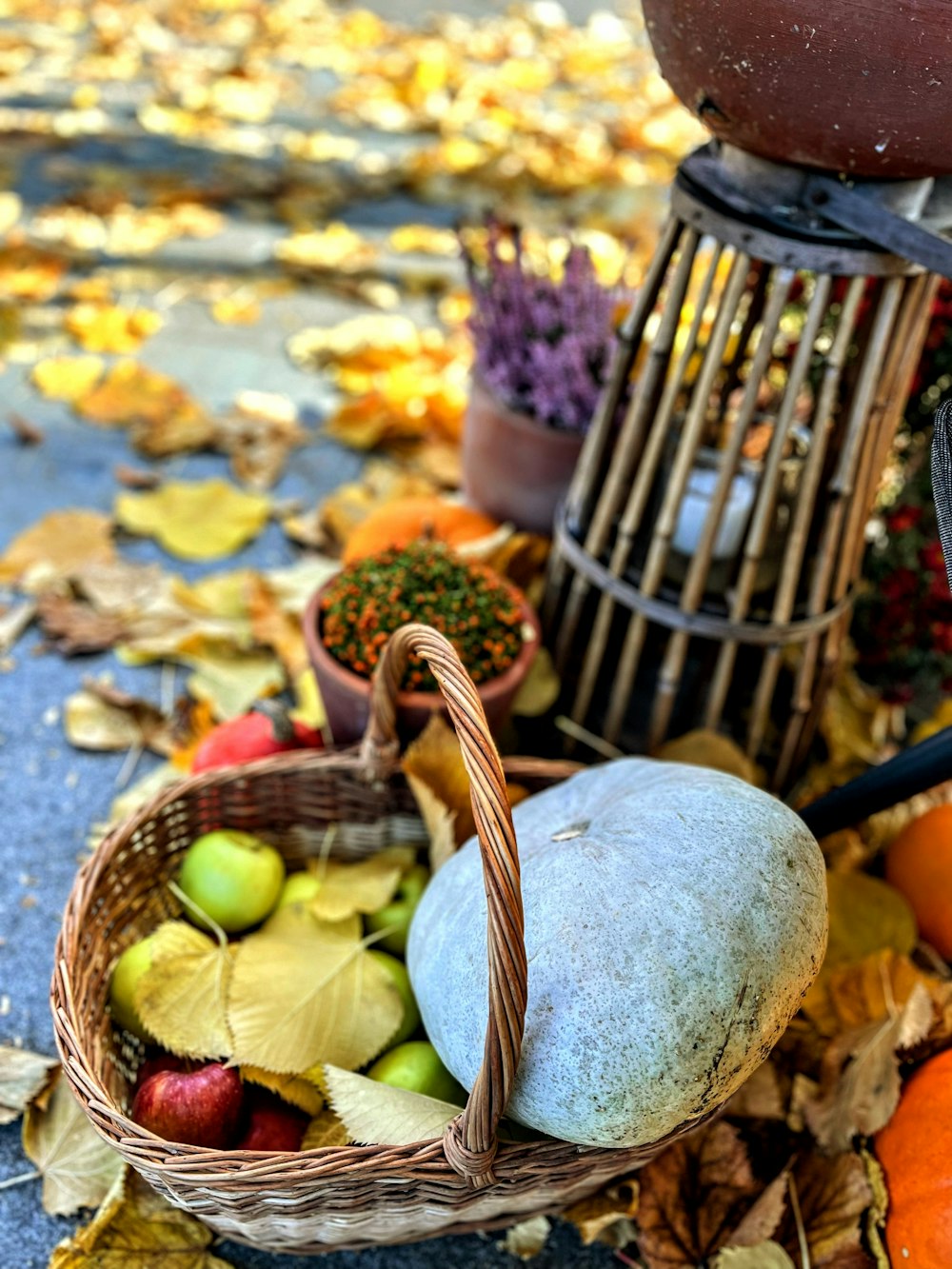 a basket filled with fruit sitting on top of a pile of leaves