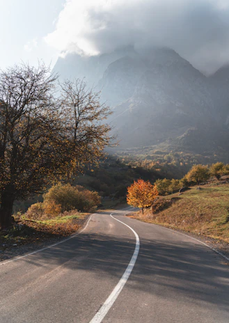 Sunlit mountain trail winding through colorful autumn trees during the tour.
