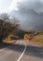 A winding road leads through a picturesque mountainous landscape with trees on both sides. One tree displays vibrant autumn colors, standing out against the green foliage and shadowy slopes. Clouds partially cover the mountain peak, adding a sense of mystery to the scene.