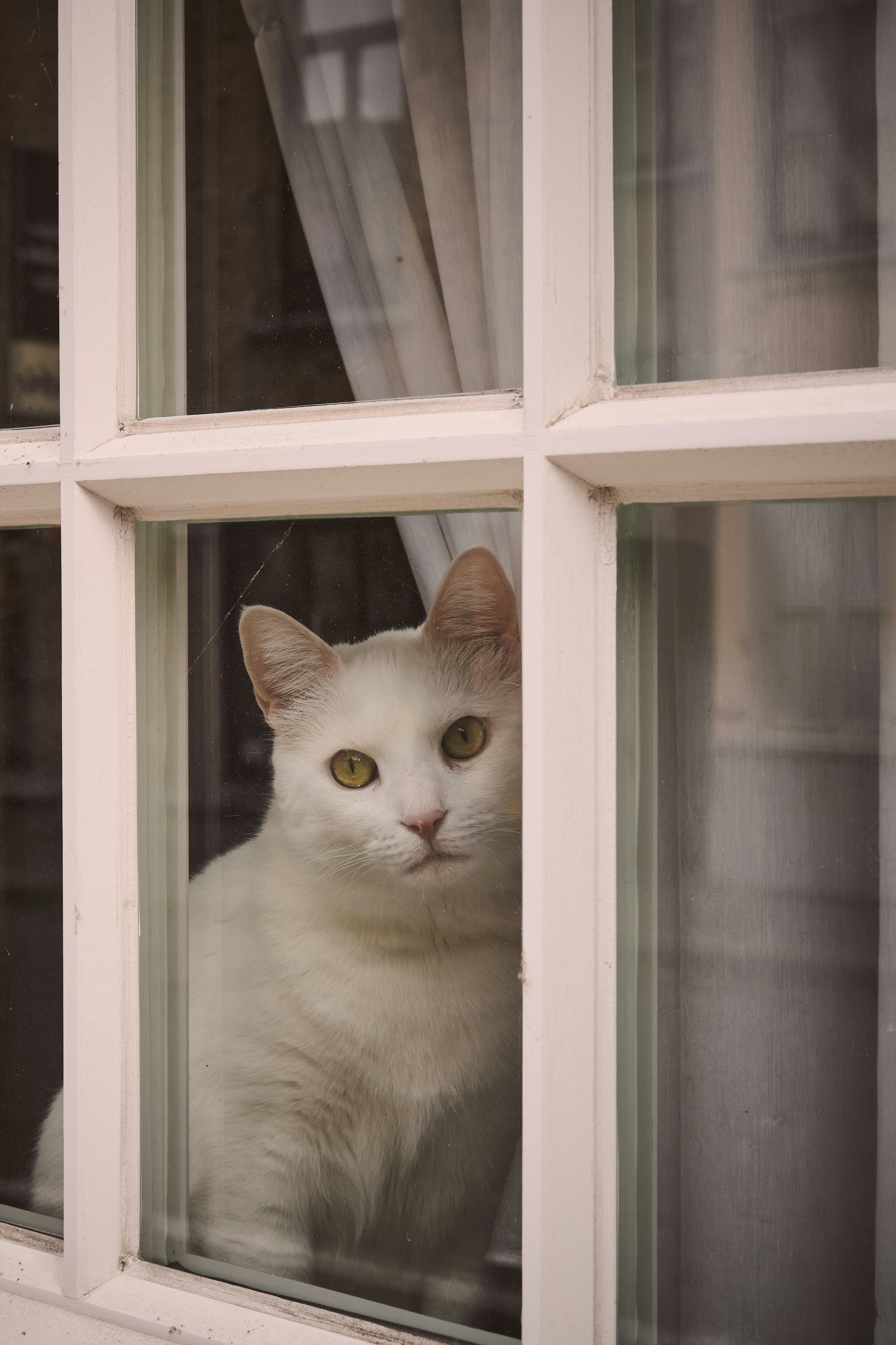 Photo by kennyguillaume