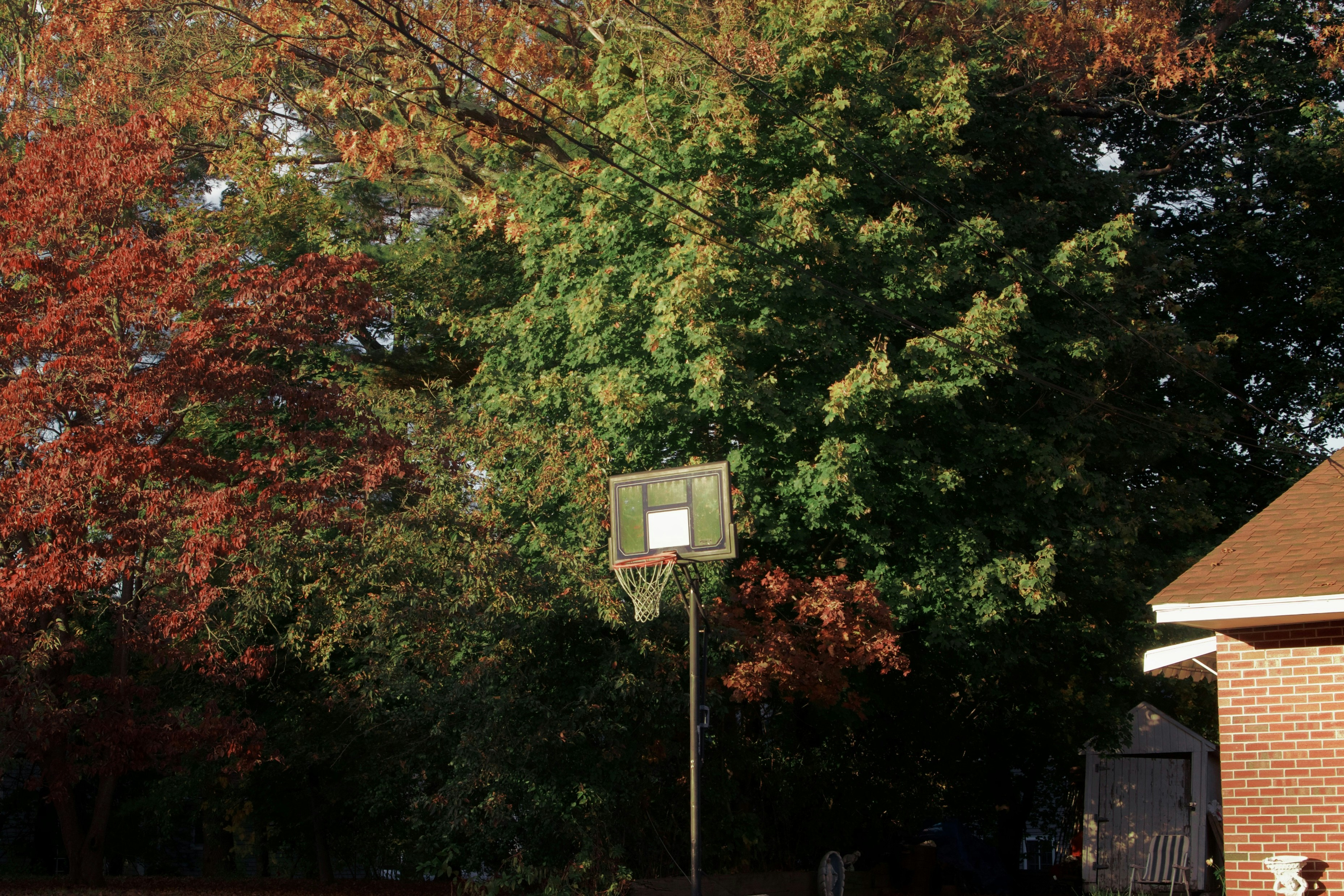 Photo by yiquanzhang