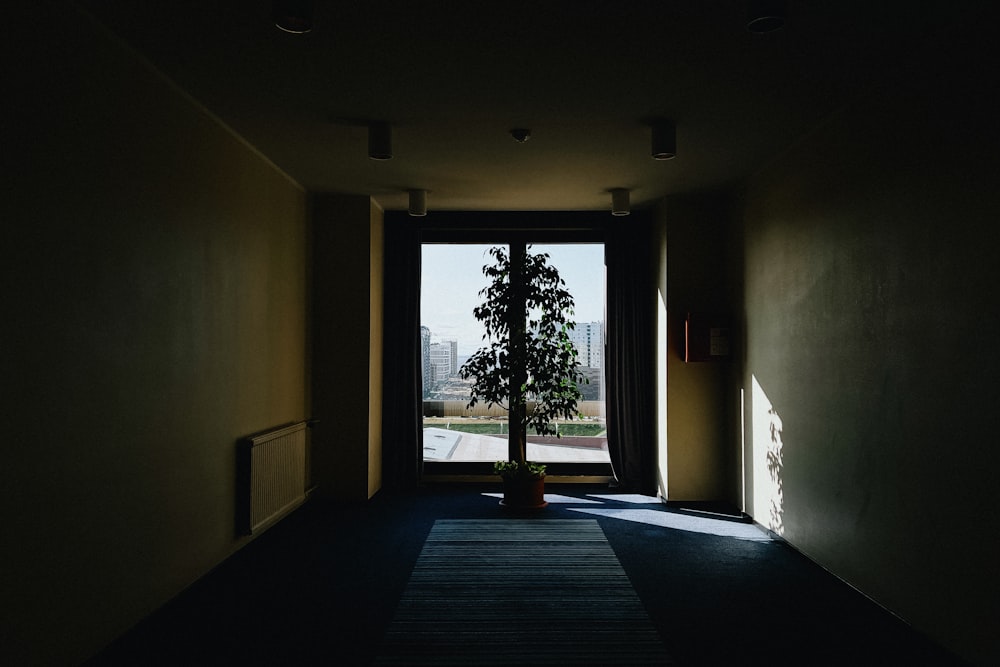 a dark hallway with a tree in the middle of it